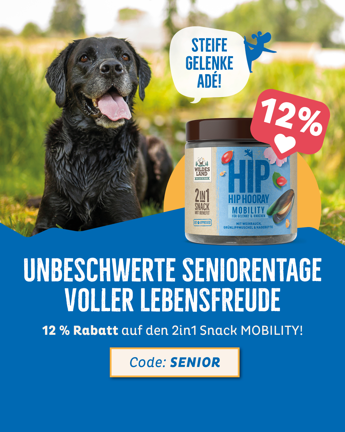 Wildes Land Facebook ad