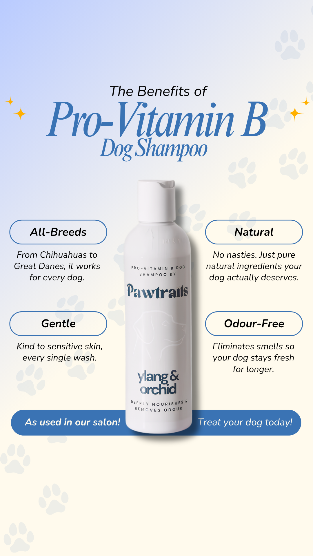 Pawtrait Dog Salon Facebook ad