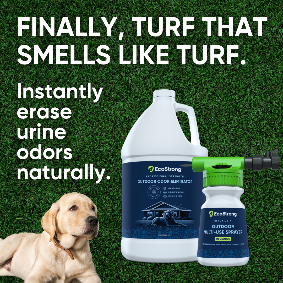 EcoStrong Facebook ad