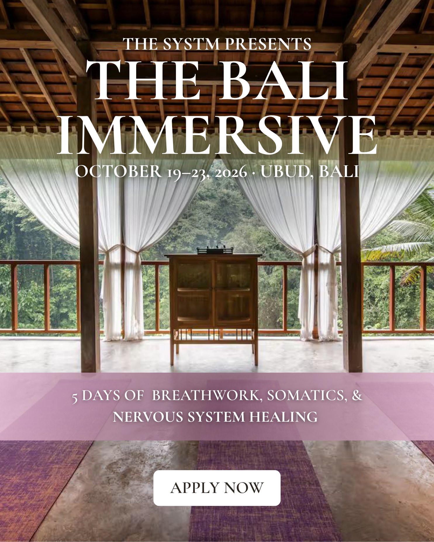 The SYSTM Facebook ad: Five Days in Bali. Oct 19-23.