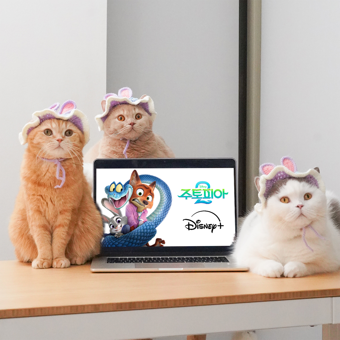 Disney+ Facebook ad