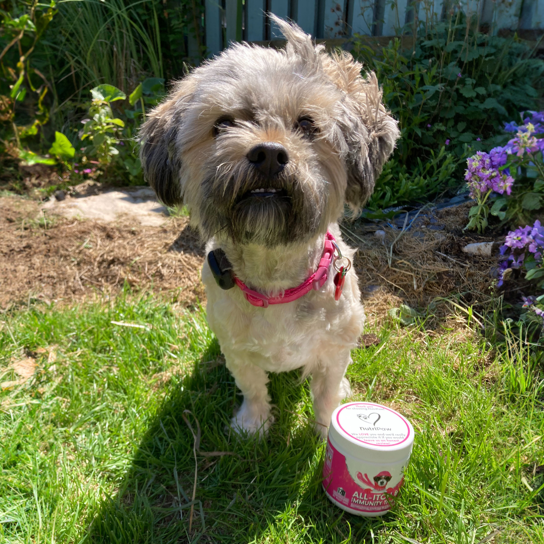 Nutri Paw Facebook ad