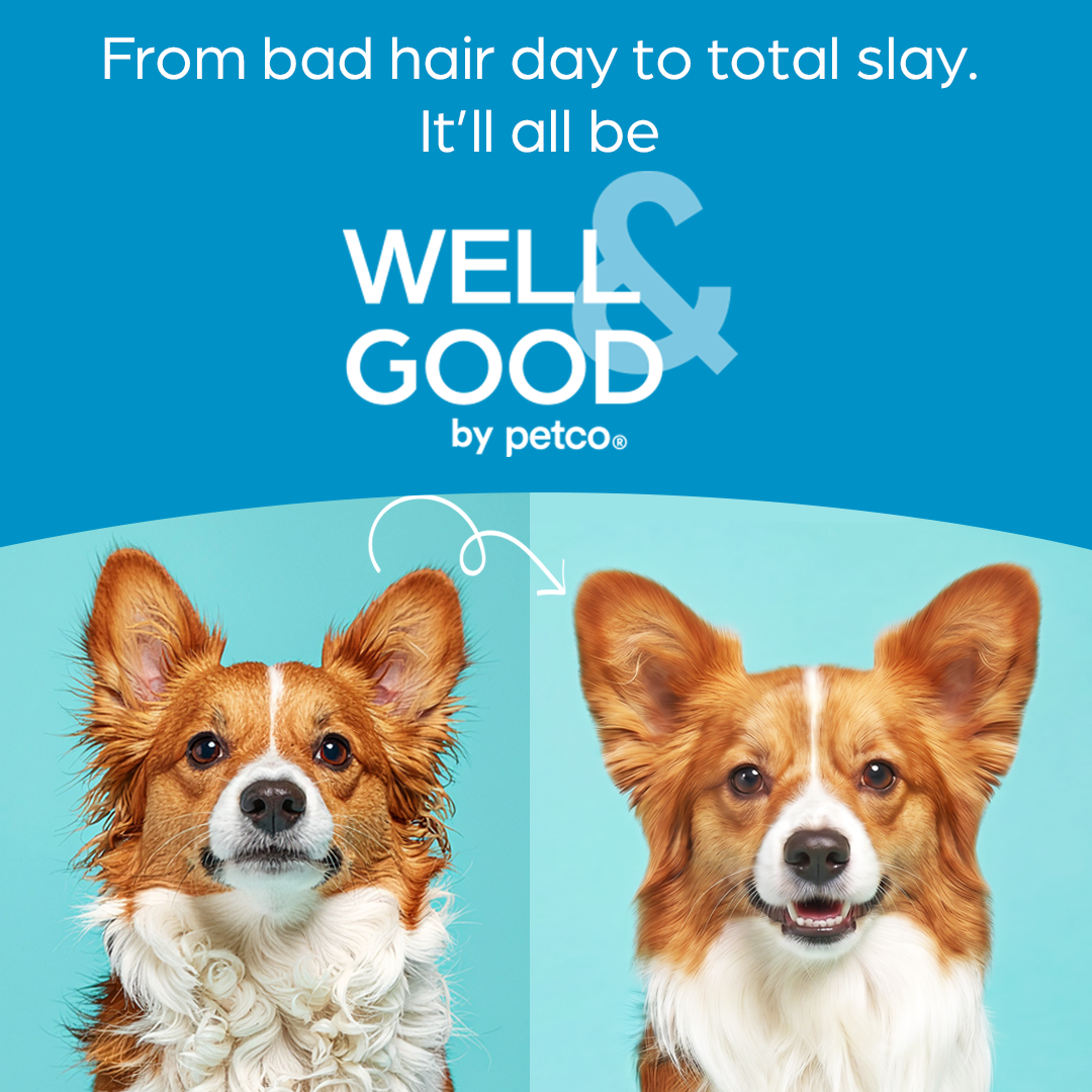 Petco Facebook ad