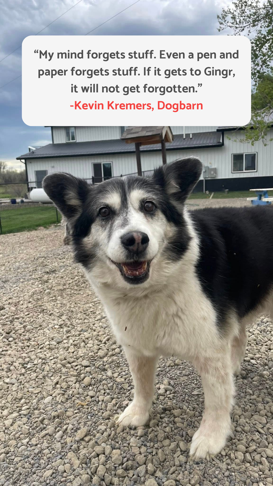 Gingr Facebook ad