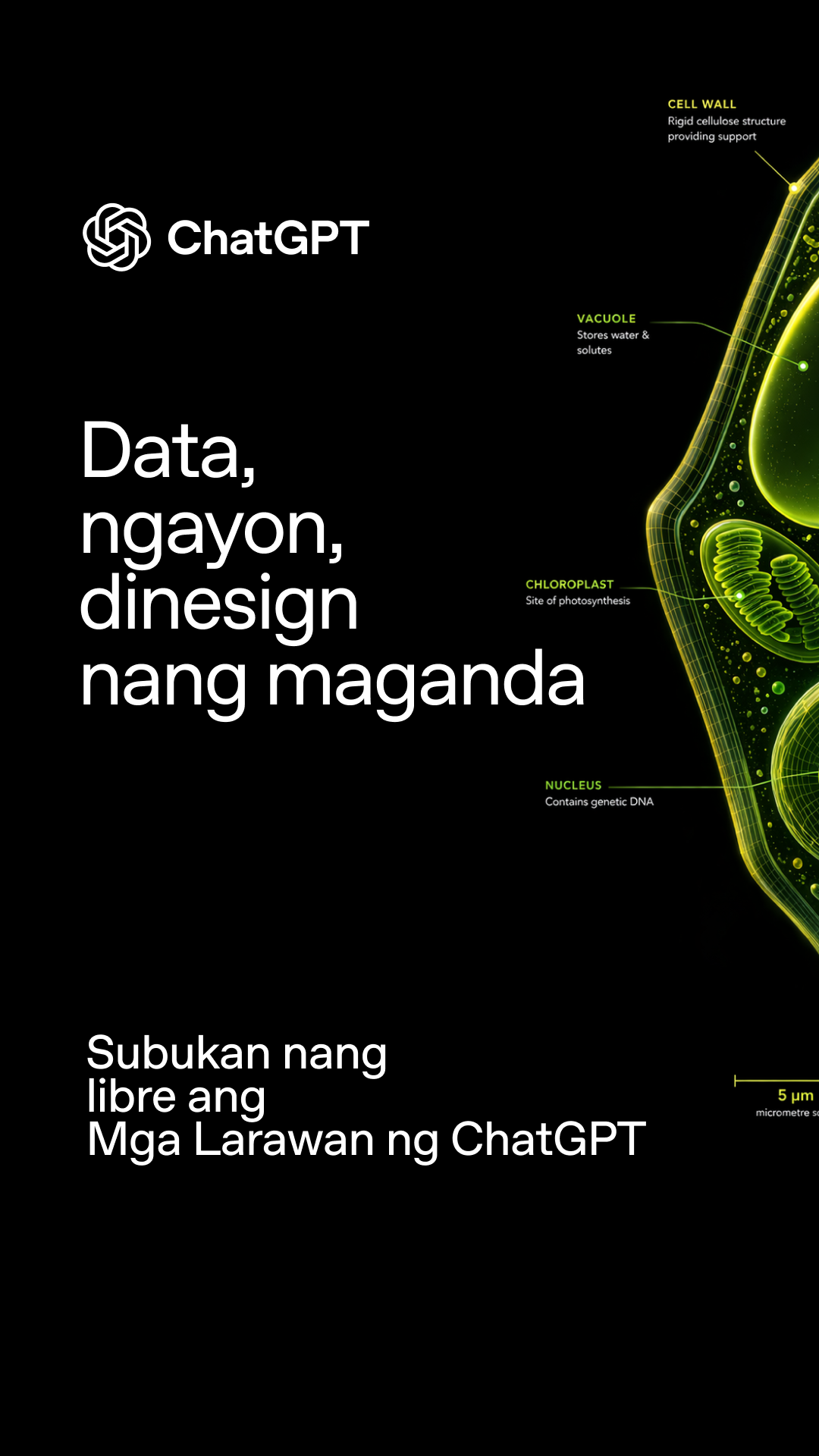 ChatGPT Facebook ad