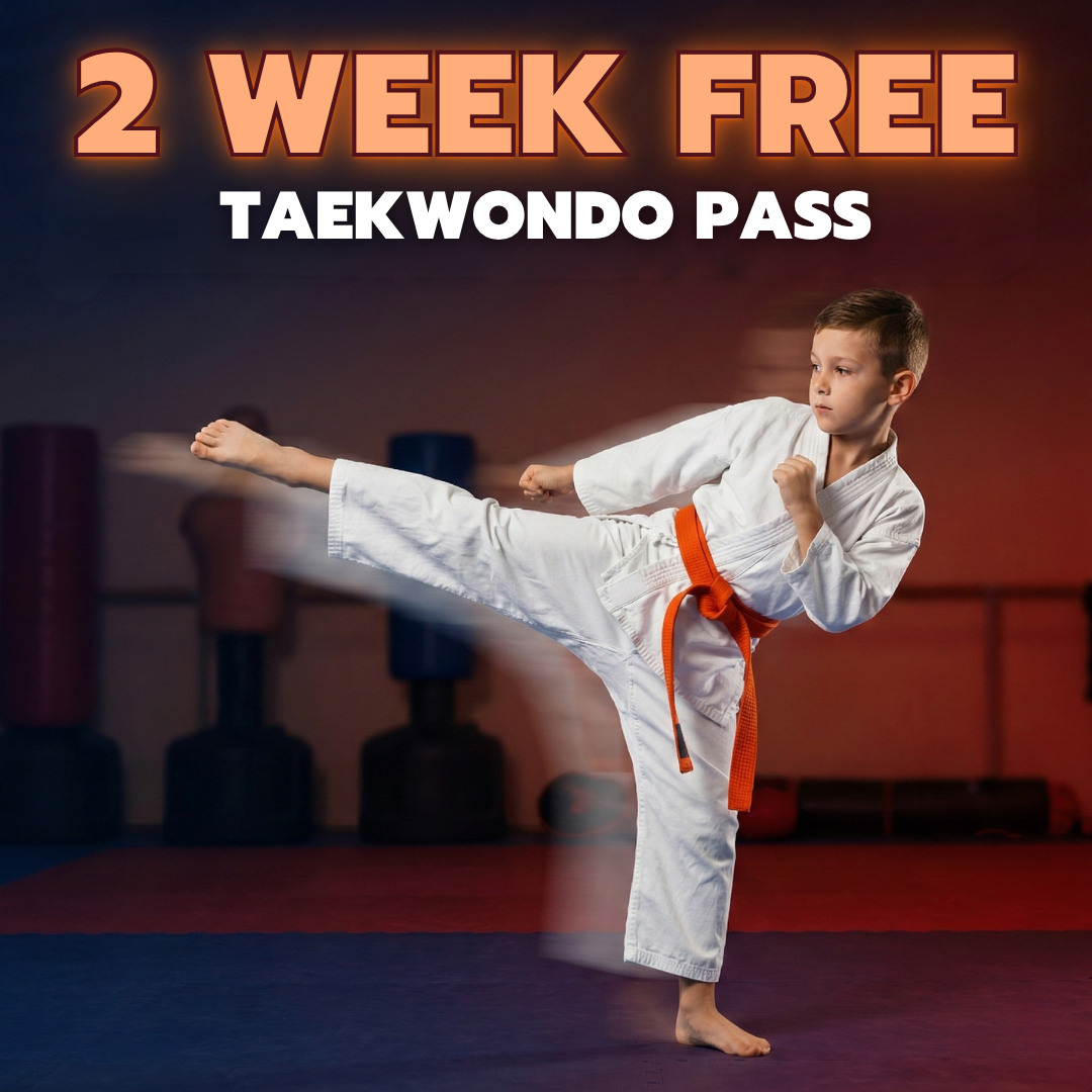 Master Lee's US Taekwondo Dartmouth Facebook ad