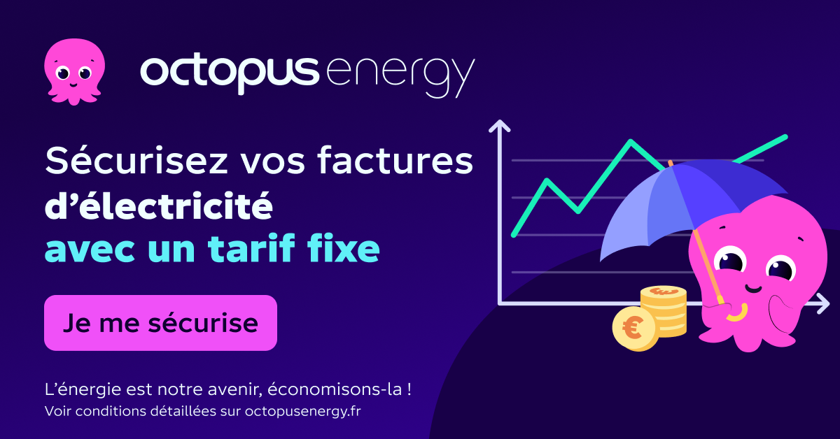 Octopus Energy Facebook ad