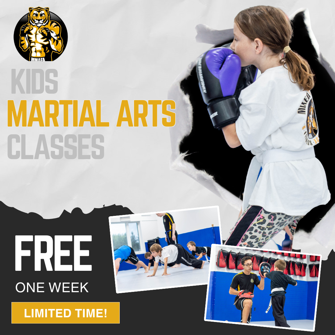 Mixed Martial Arts & Fitness Academy Facebook ad: Online Offer! 1 Week of Martial Arts for FREE!