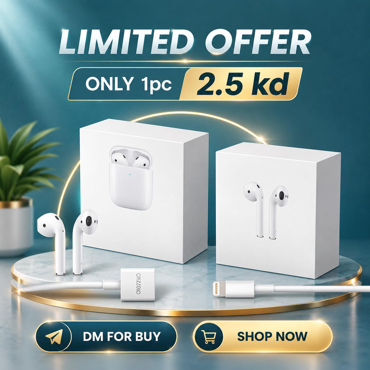 Home Care Facebook ad