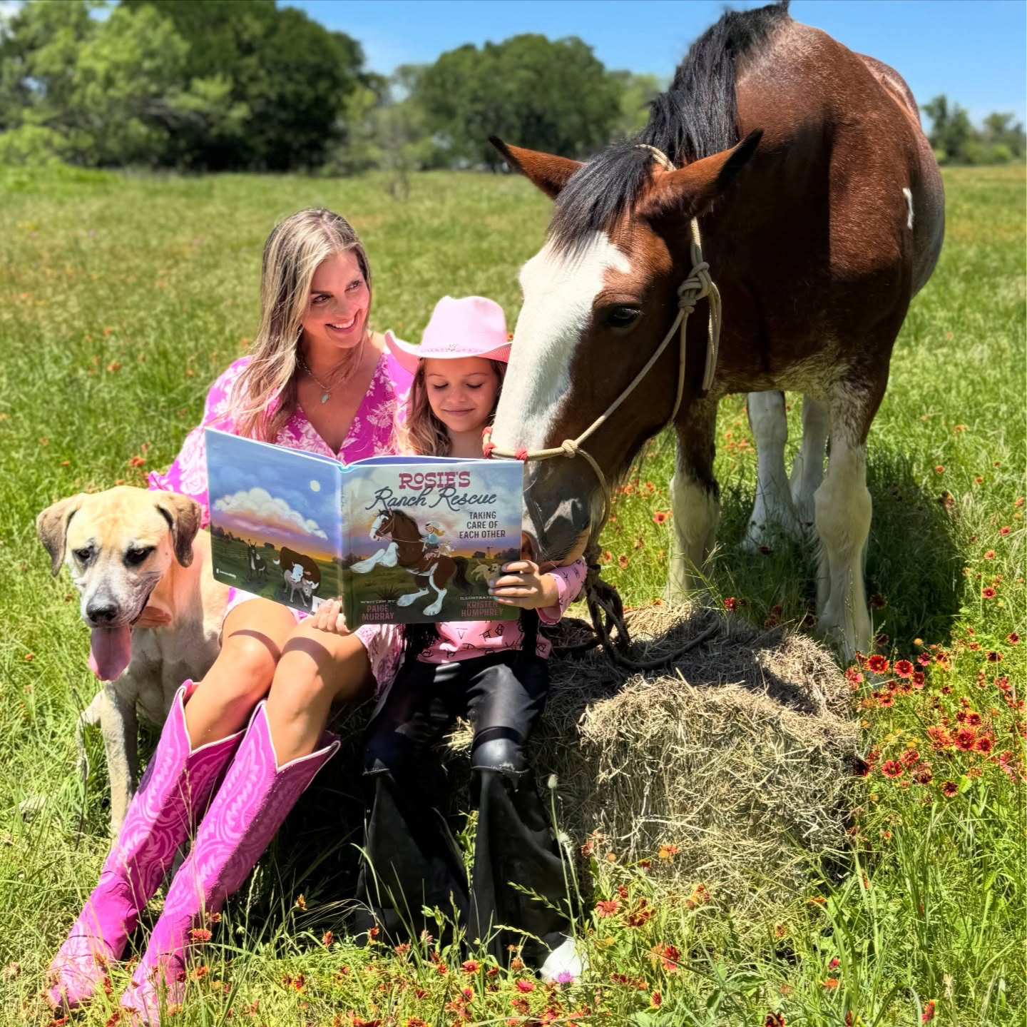 Paige Murray’s Boots & Biscuits Facebook ad: Rosie’s Ranch Rescue
