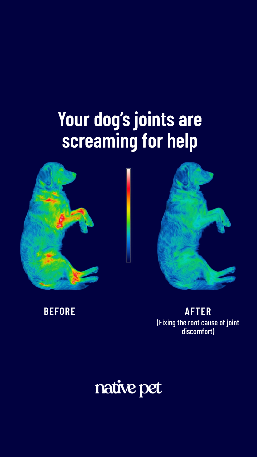 k9healthdaily Facebook ad from Mar 19, 2026