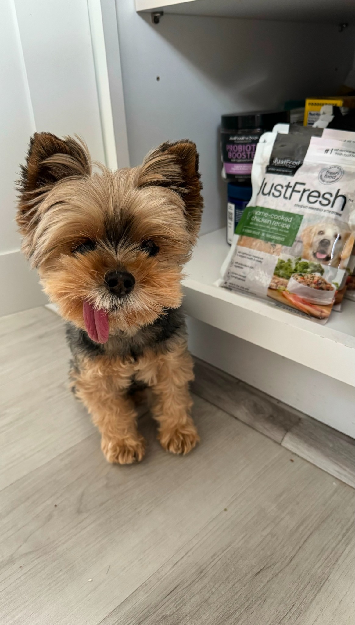 Just Food For Dogs Facebook ad