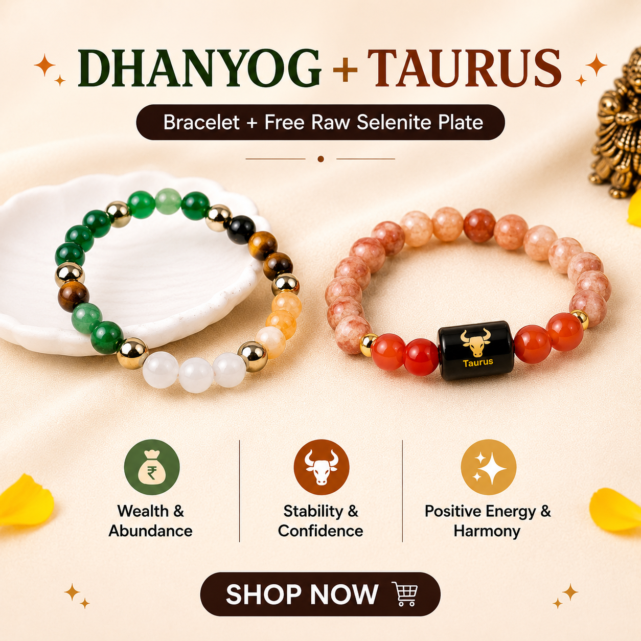 Vedic Astro Facebook ad