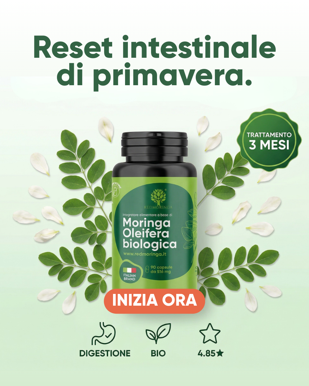 RedMoringa Facebook ad