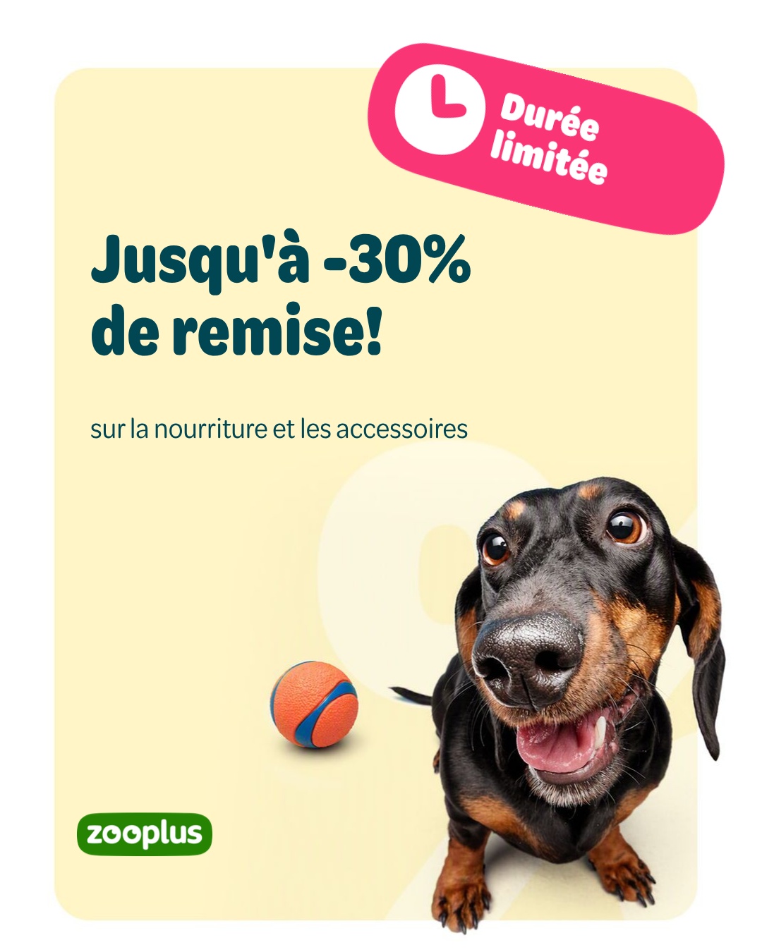 zooplus Facebook ad