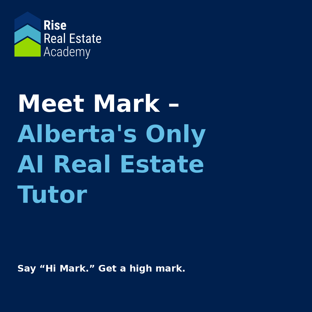 Riserealestateacademy Facebook ad