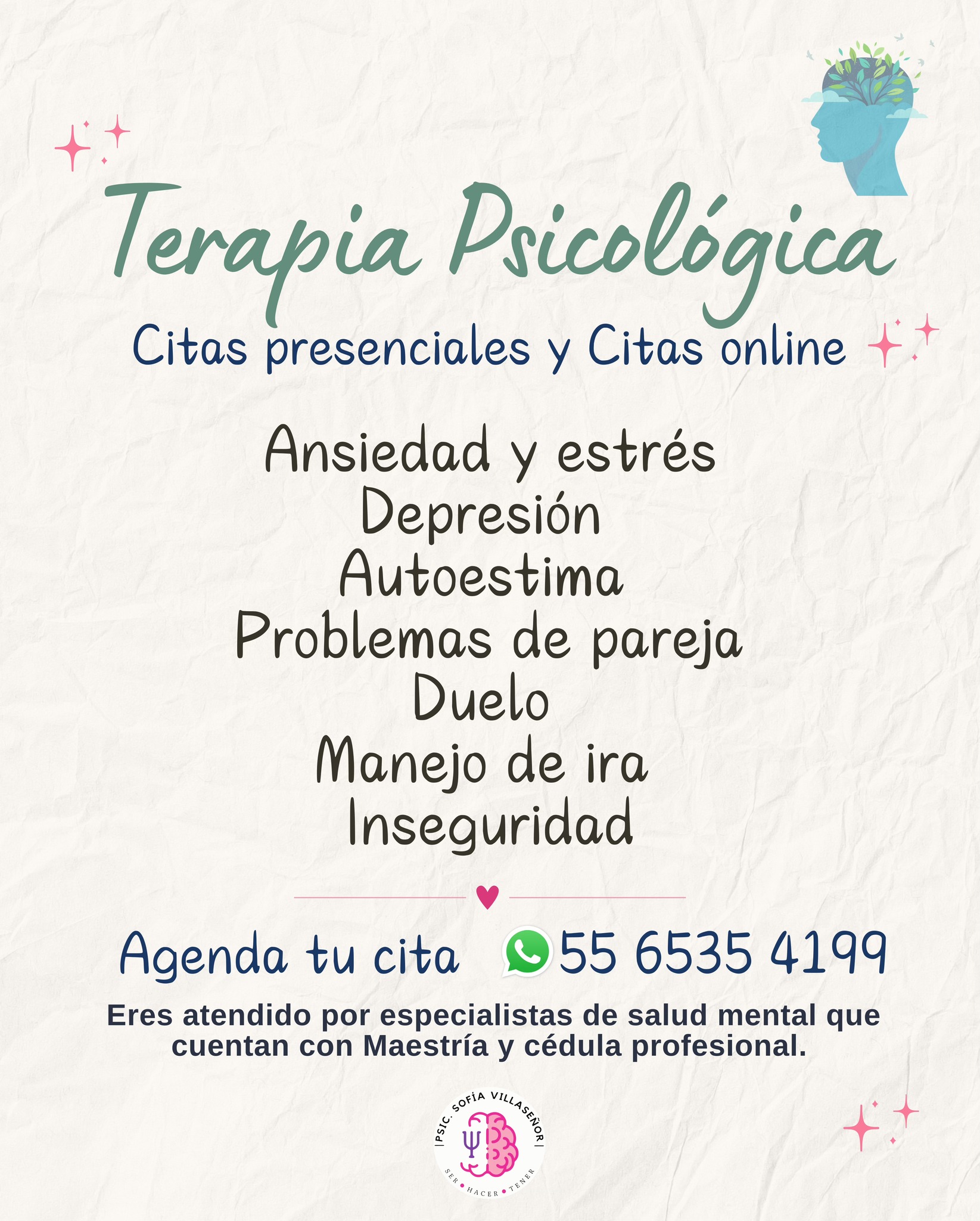 Psic. Karla Sofía Villaseñor Facebook ad: ¡Comienza este 2025 cuidando tu bienestar emocional!