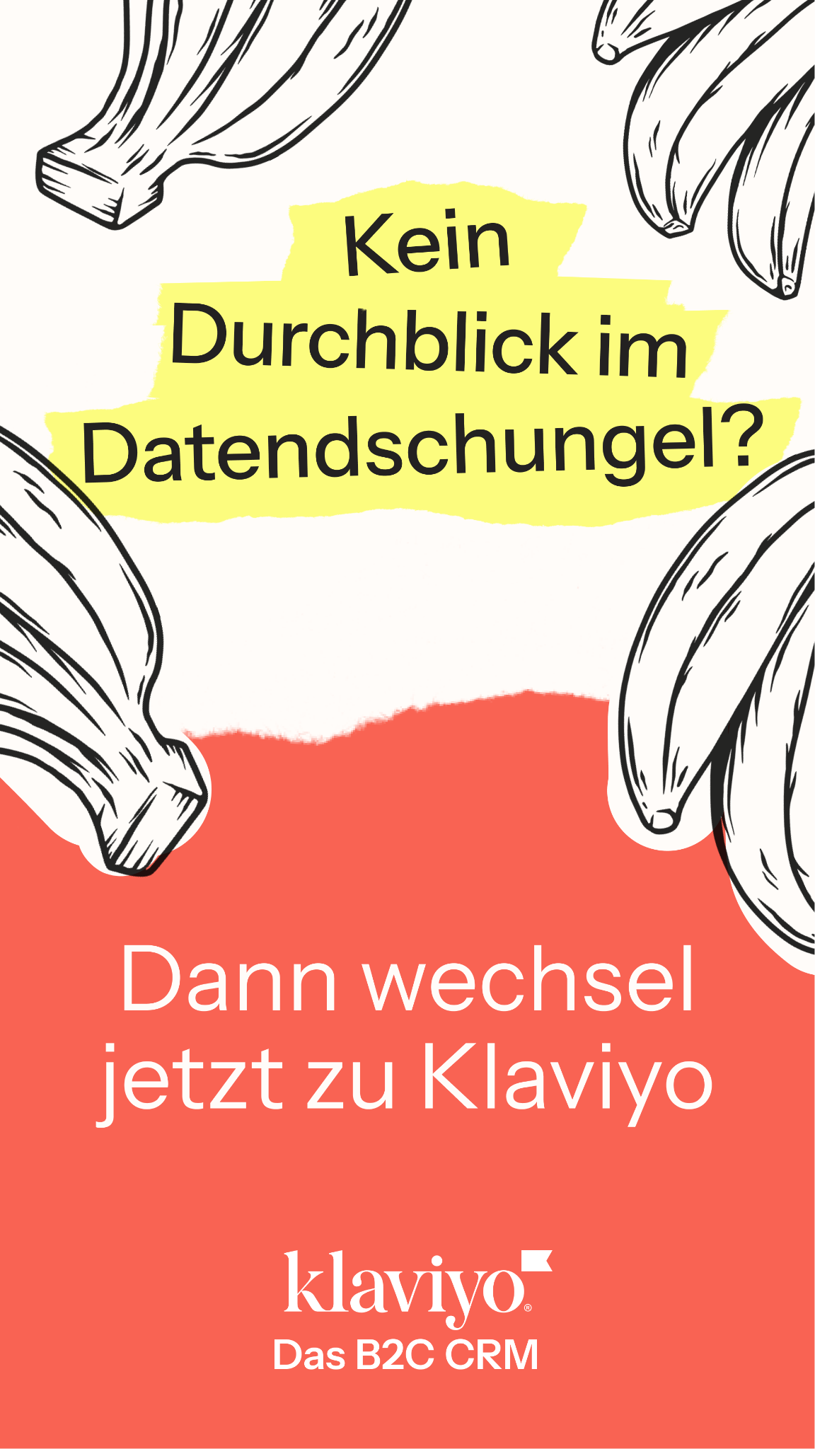 Klaviyo Facebook ad