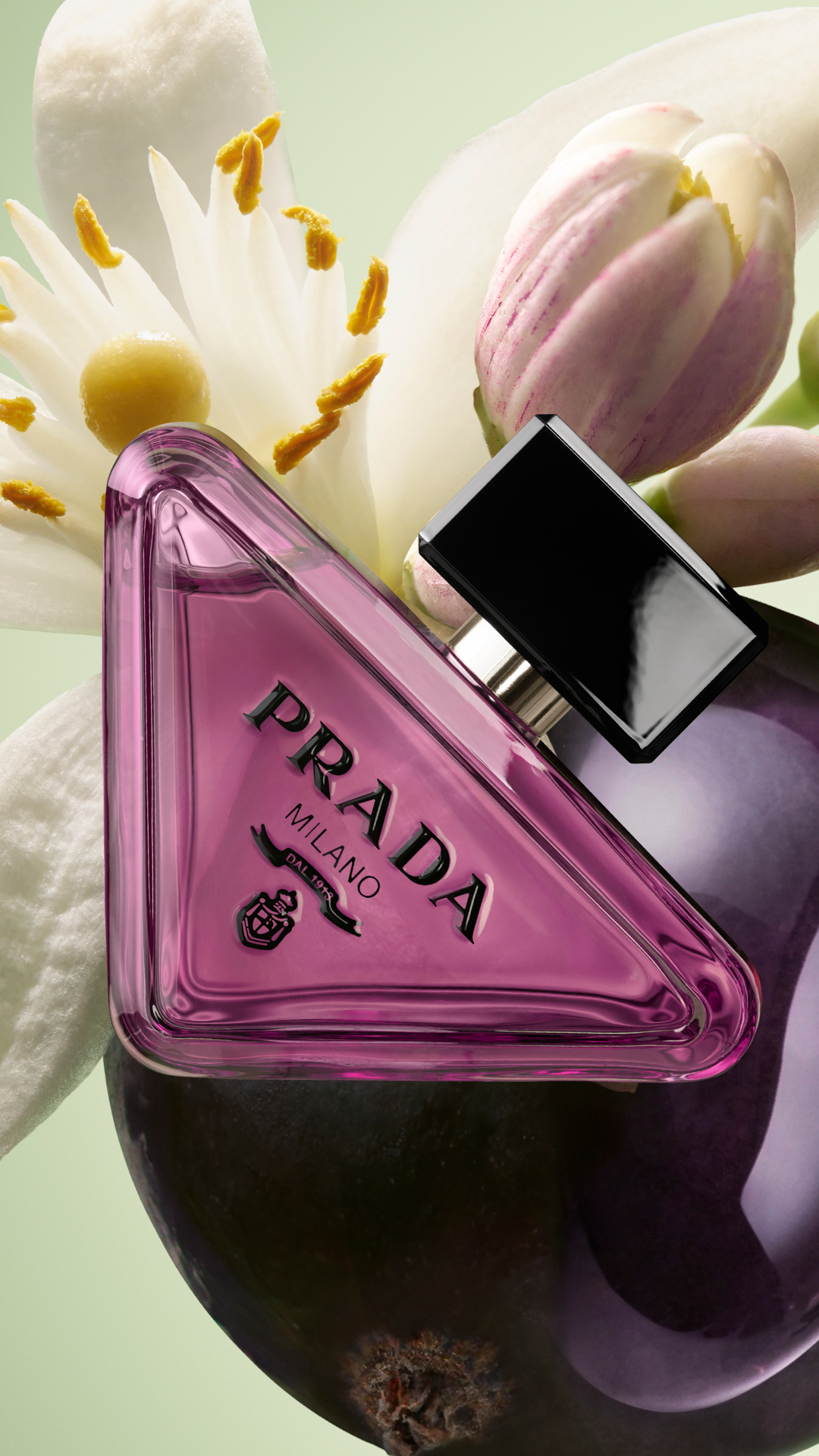 Prada Beauty Facebook ad