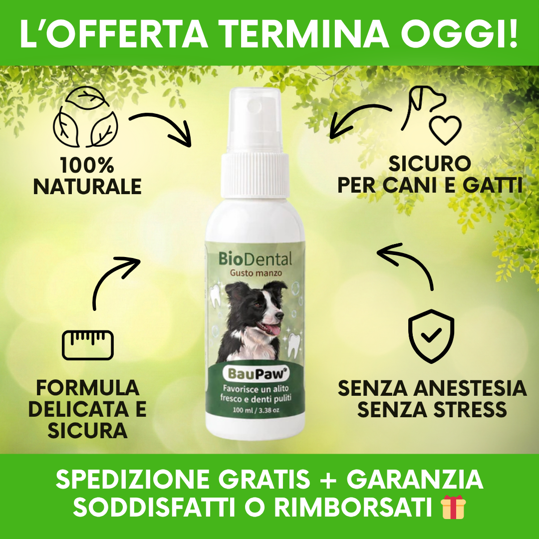 Amici a 4 Zampe Facebook ad: 5 secondi al giorno. Niente più detartrasi.
