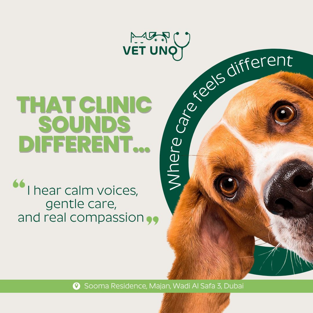 Vet Uno Veterinary Clinic Facebook ad