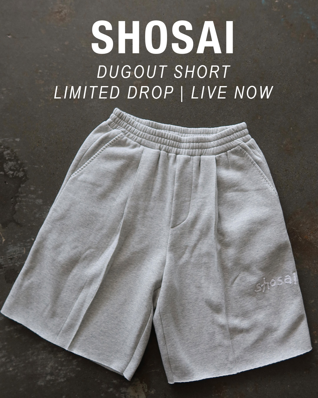 Shosai Store Facebook ad: Live Now