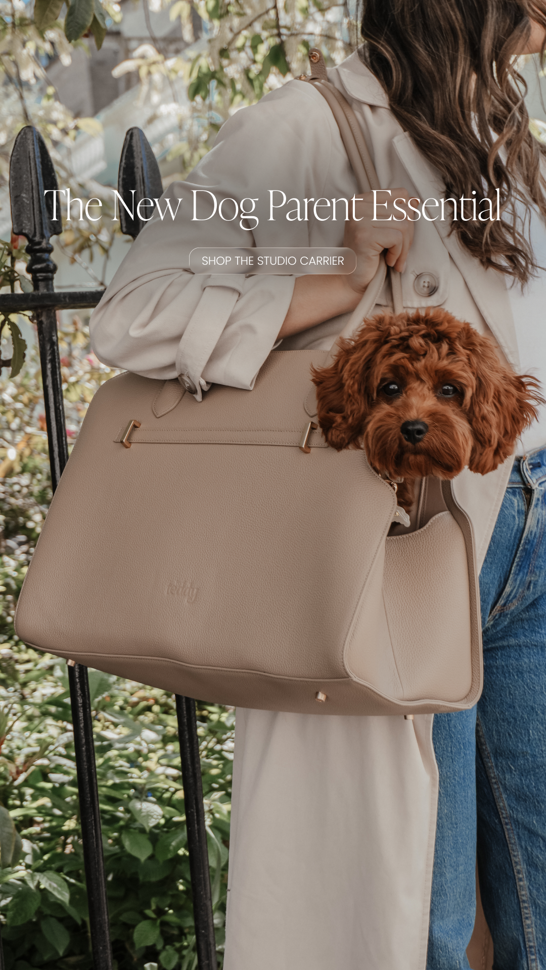 By Teddy Facebook ad