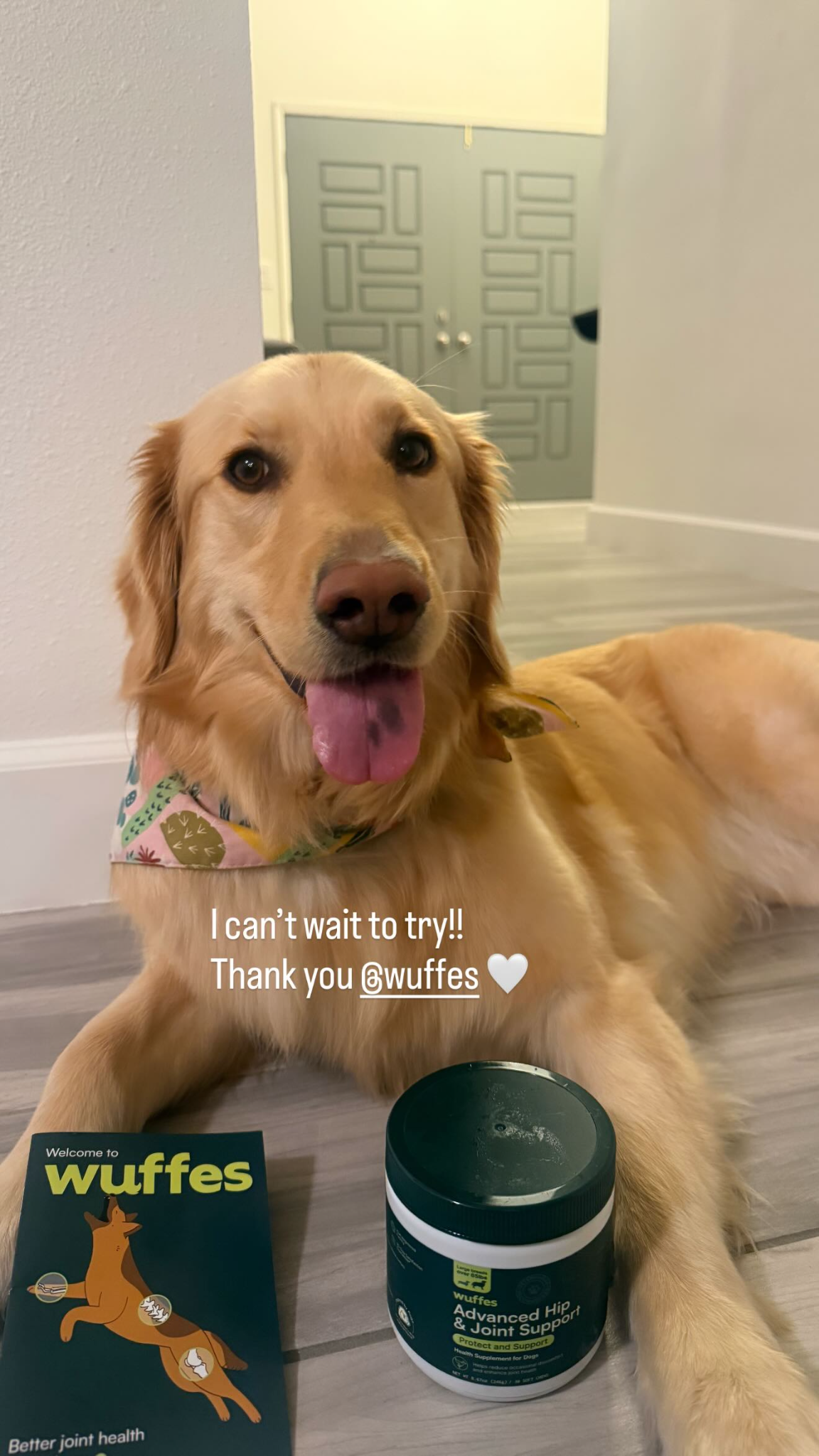 zola.the.golden Facebook ad