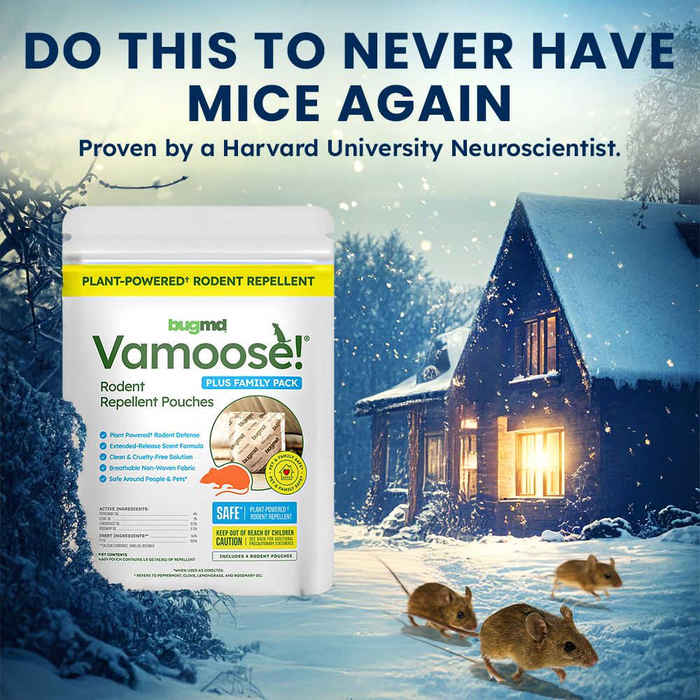 Mice Secrets Facebook ad
