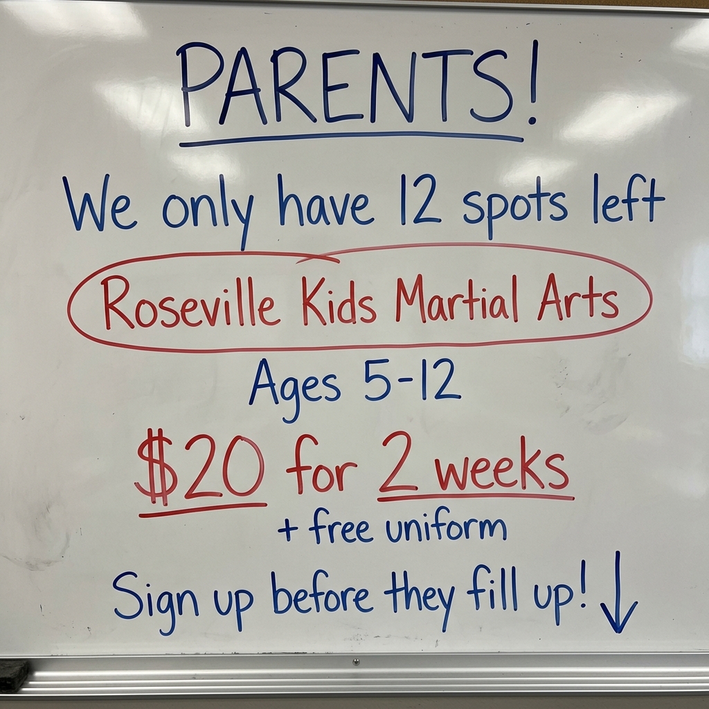 Roseville Academy - Family Taekwondo Facebook ad: Family Martial Arts!