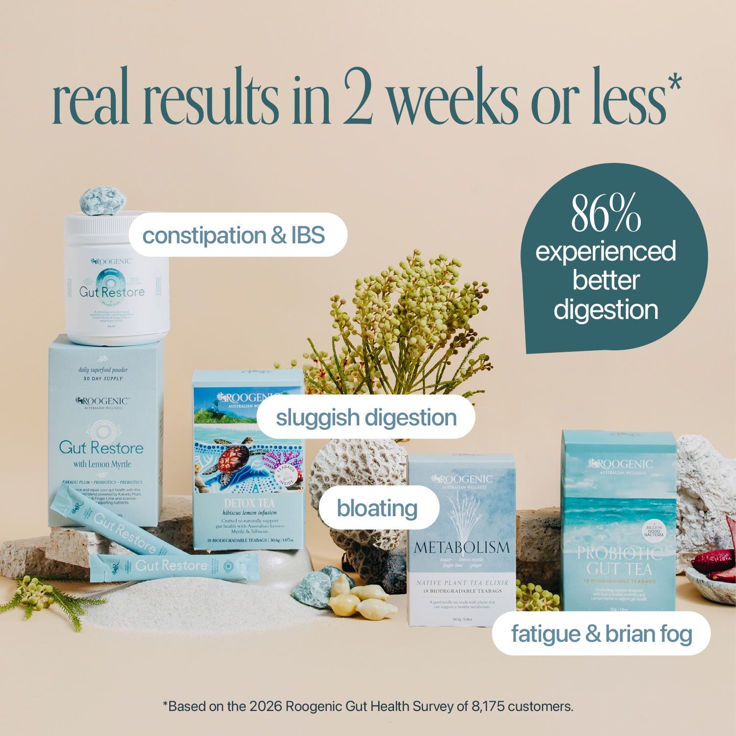 Roogenic Facebook ad
