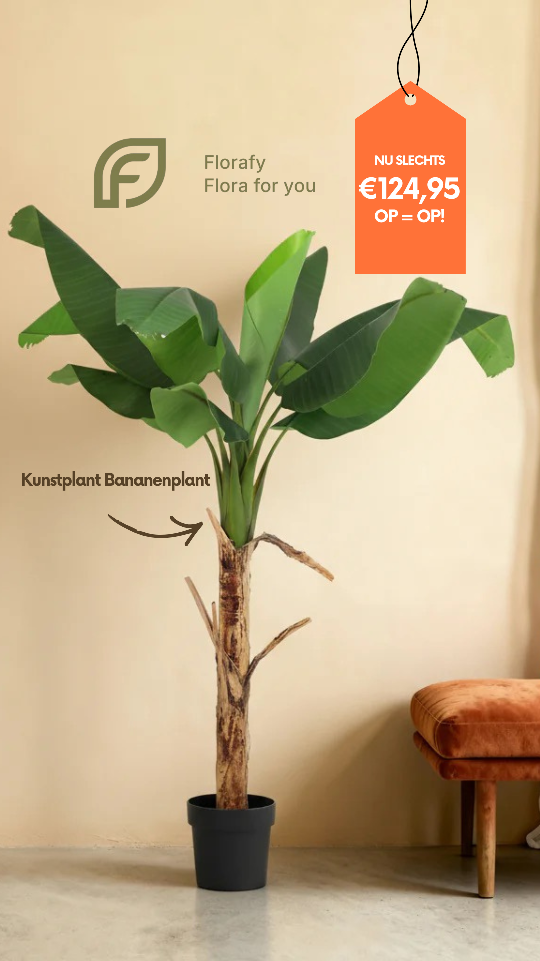 Florafy Facebook ad from Nov 28, 2025