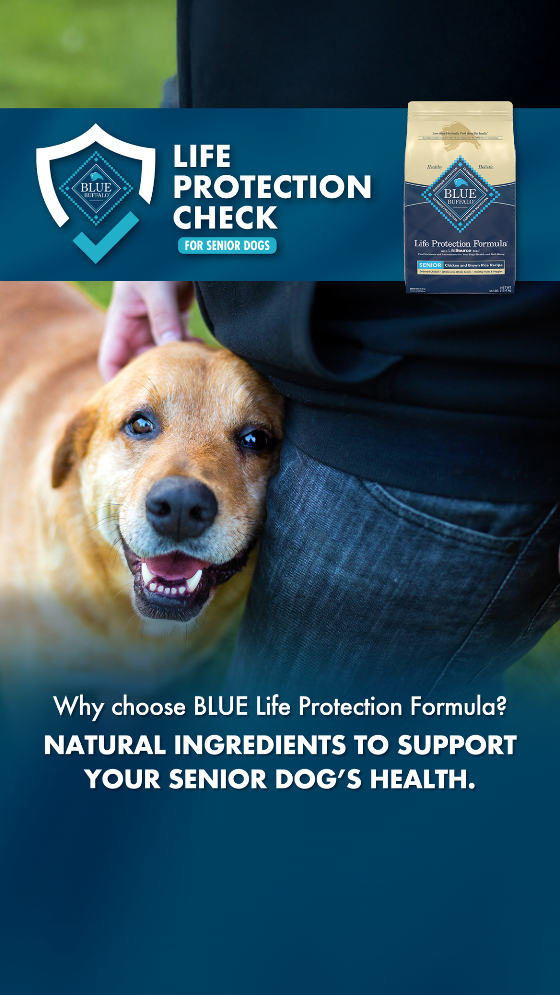 Petco Facebook ad