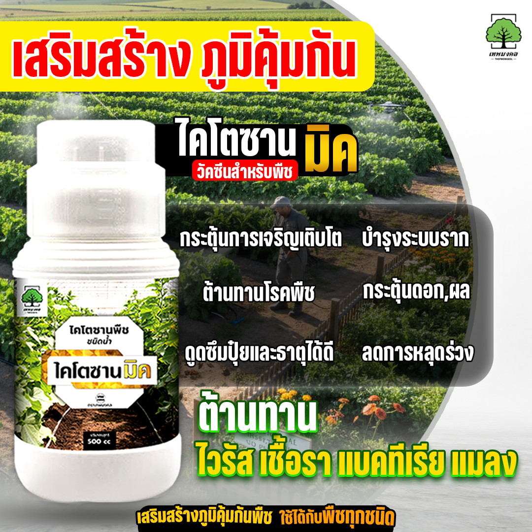 ไคโตซานมิค สูตรพรีเมี่ยม เพิ่มภูมิต้านทาน Facebook ad