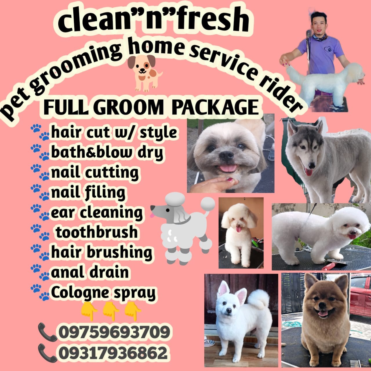 CLEAN nFRESH pet grooming home service rider Facebook ad: Chat clean n fresh pet grooming