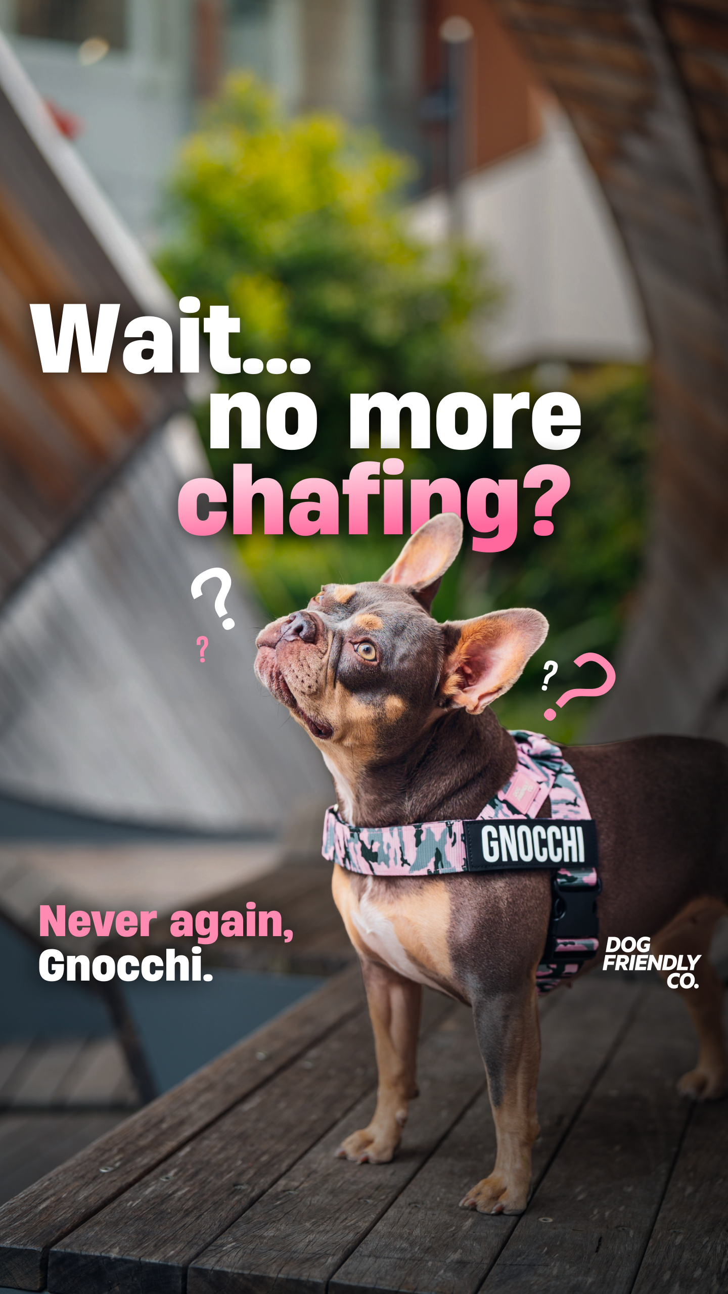 Dog Friendly Co. Facebook ad: Rated #1 By Dog Owners