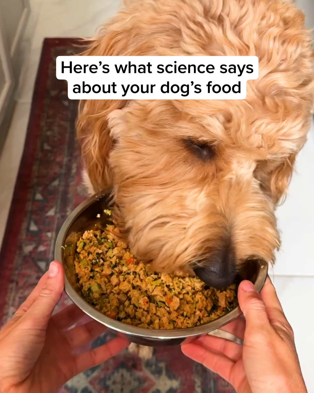 The Farmer's Dog Facebook ad