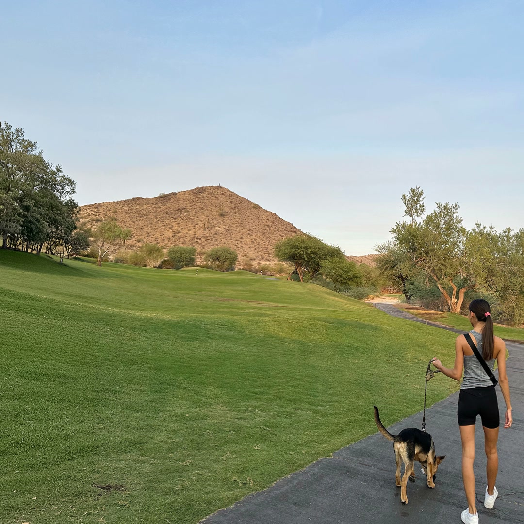 TrustedHousesitters Facebook ad: See the world by pet sitting