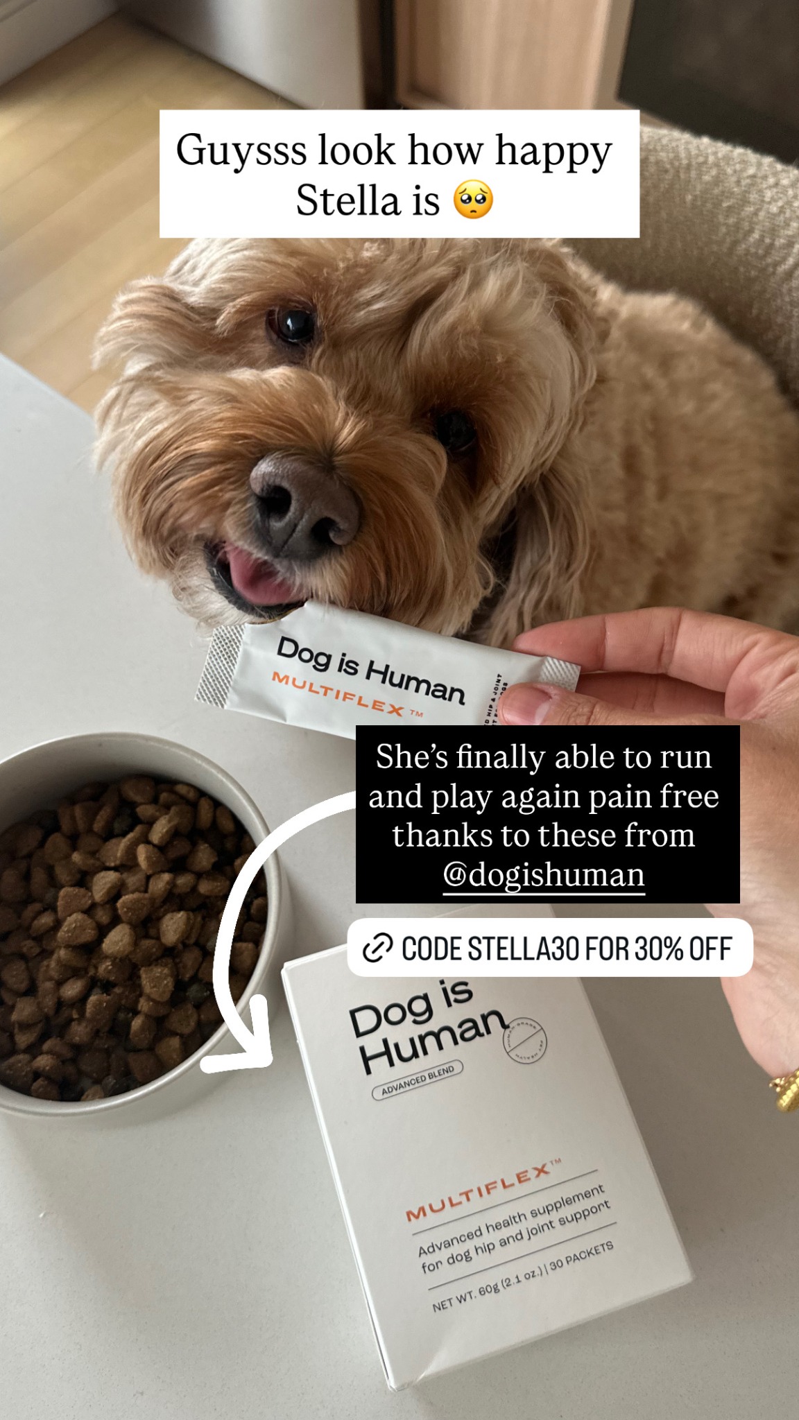 Dog is Human Facebook ad