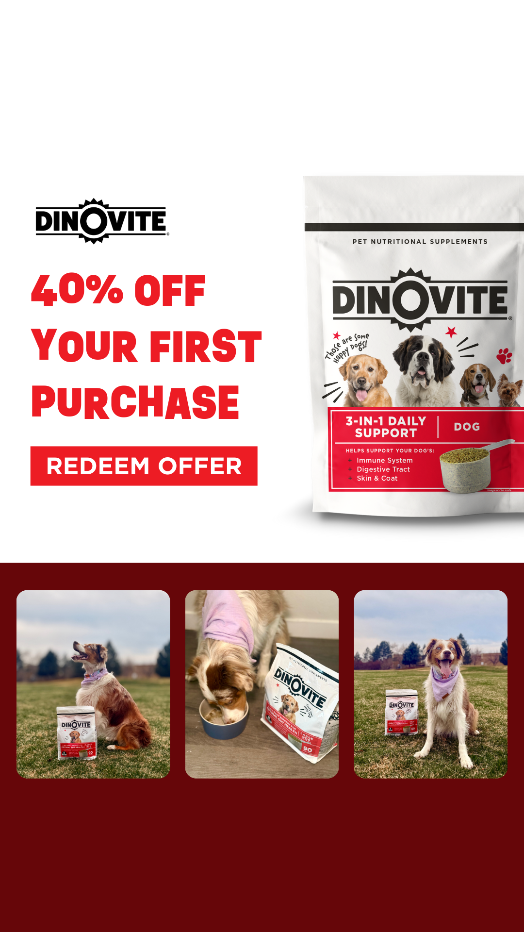 Dinovite.com Facebook ad