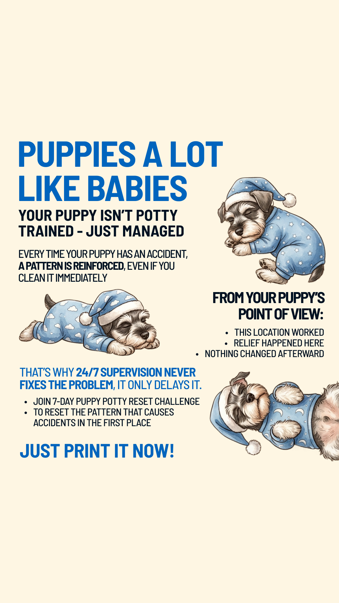 Woofz - Puppy Training Facebook ad
