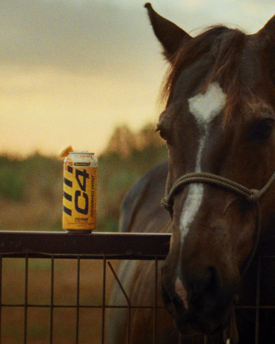 C4 Energy Facebook ad: NEW! C4 All Hopped Up
