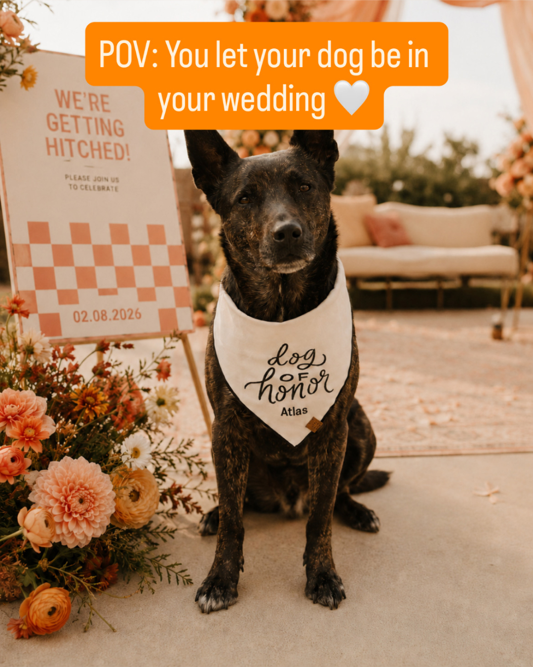 The Foggy Dog Facebook ad