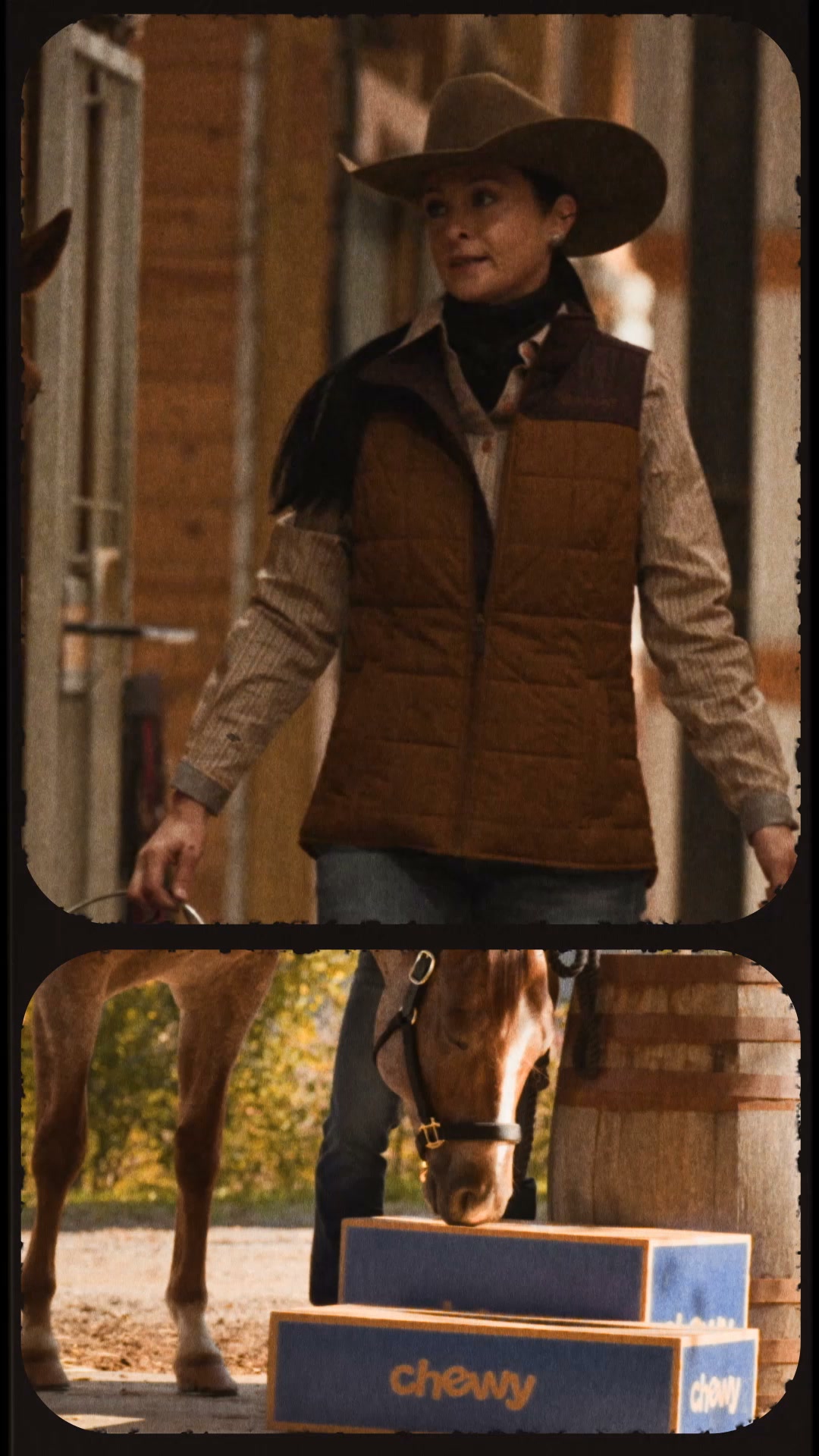 Chewy Facebook ad: Fall horse care covered