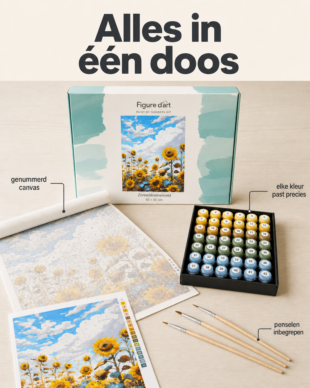 Davincified Netherlands Facebook ad: Alles in één doos