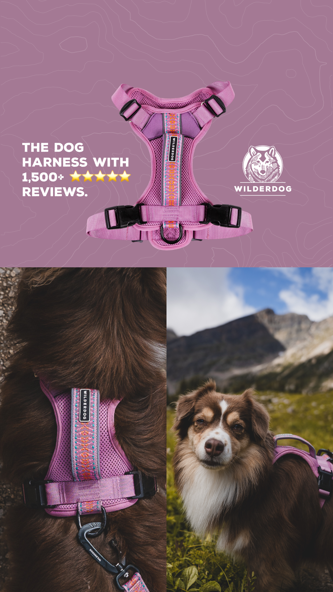 Wilderdog Facebook ad