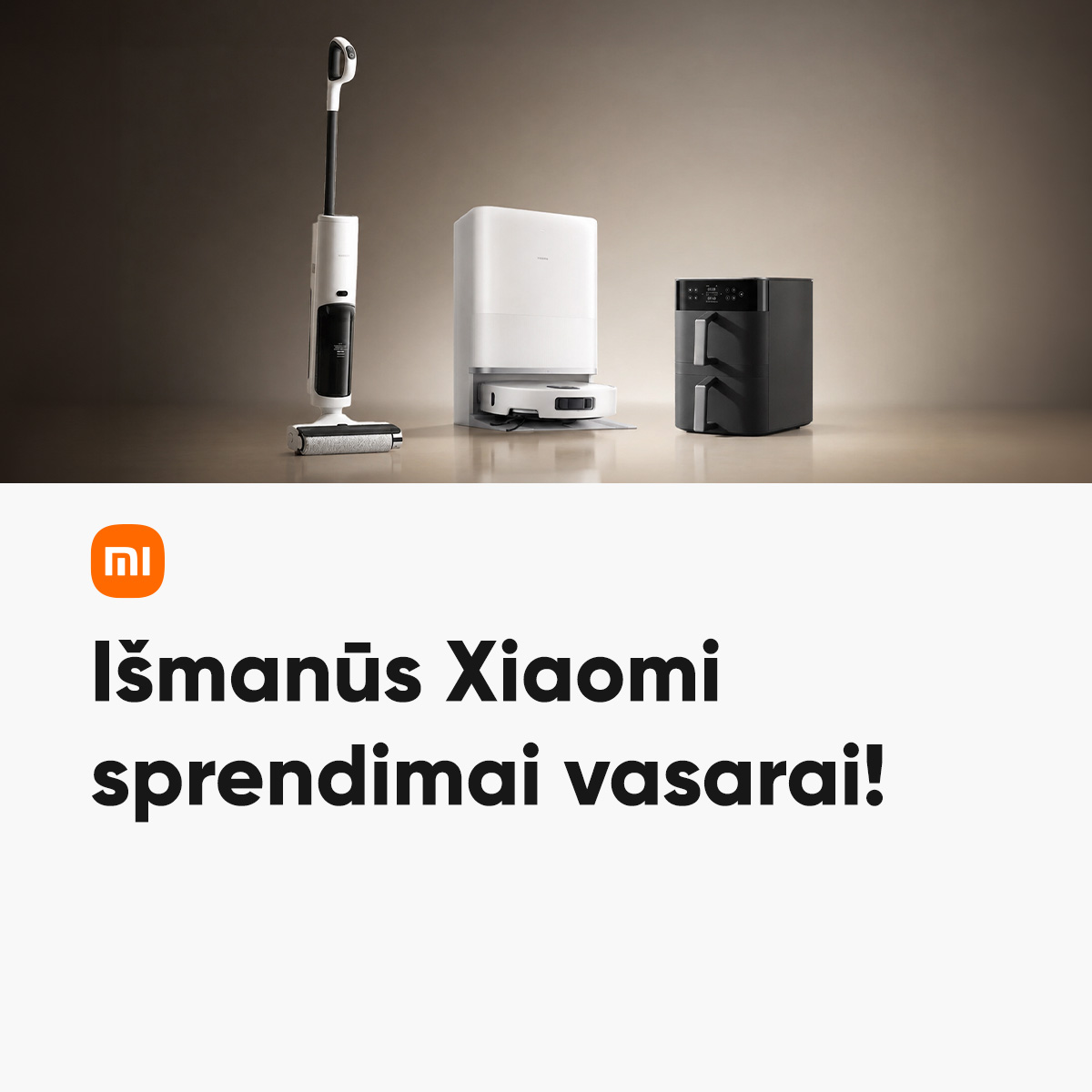Pigu.lt Facebook ad