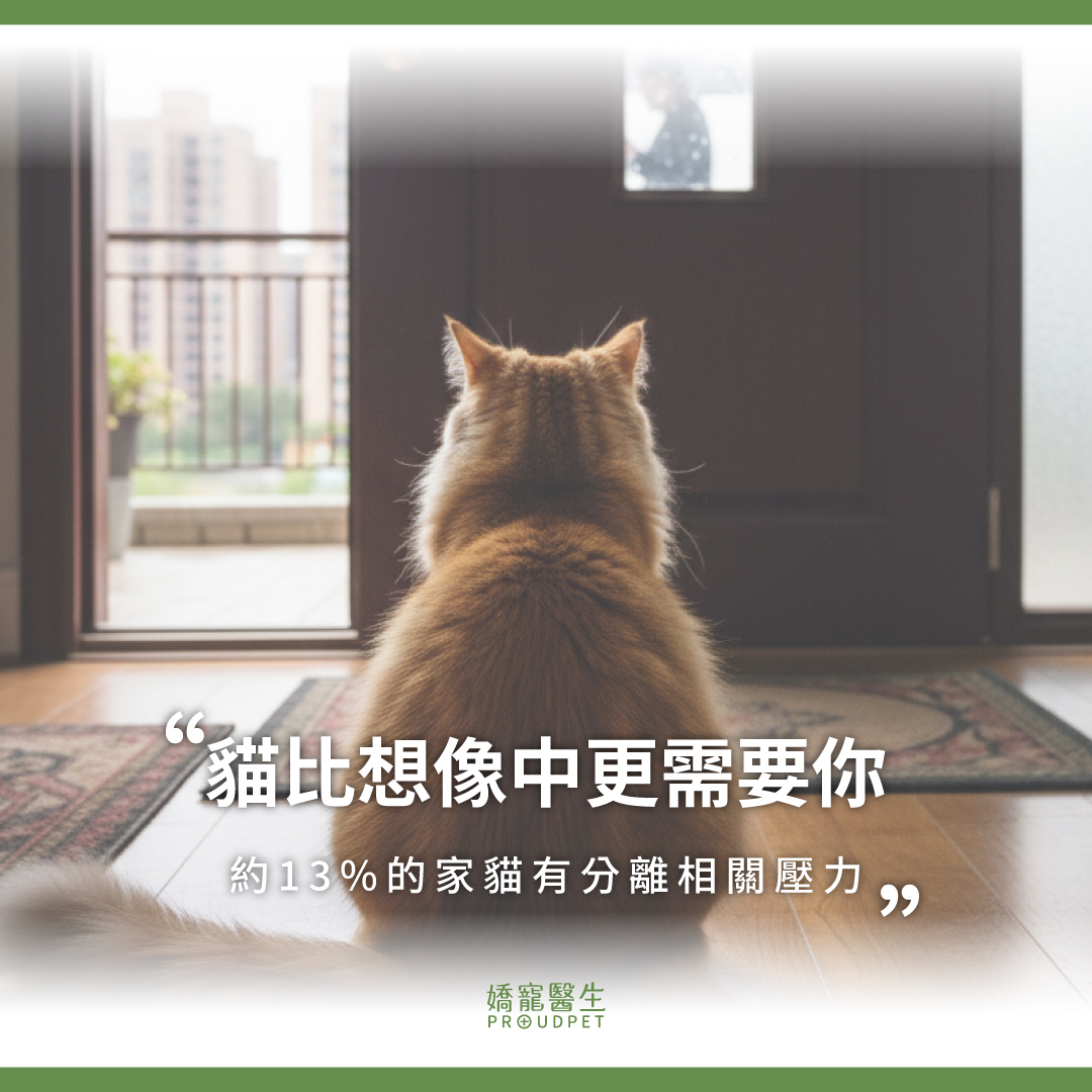 嬌寵醫生 Facebook ad