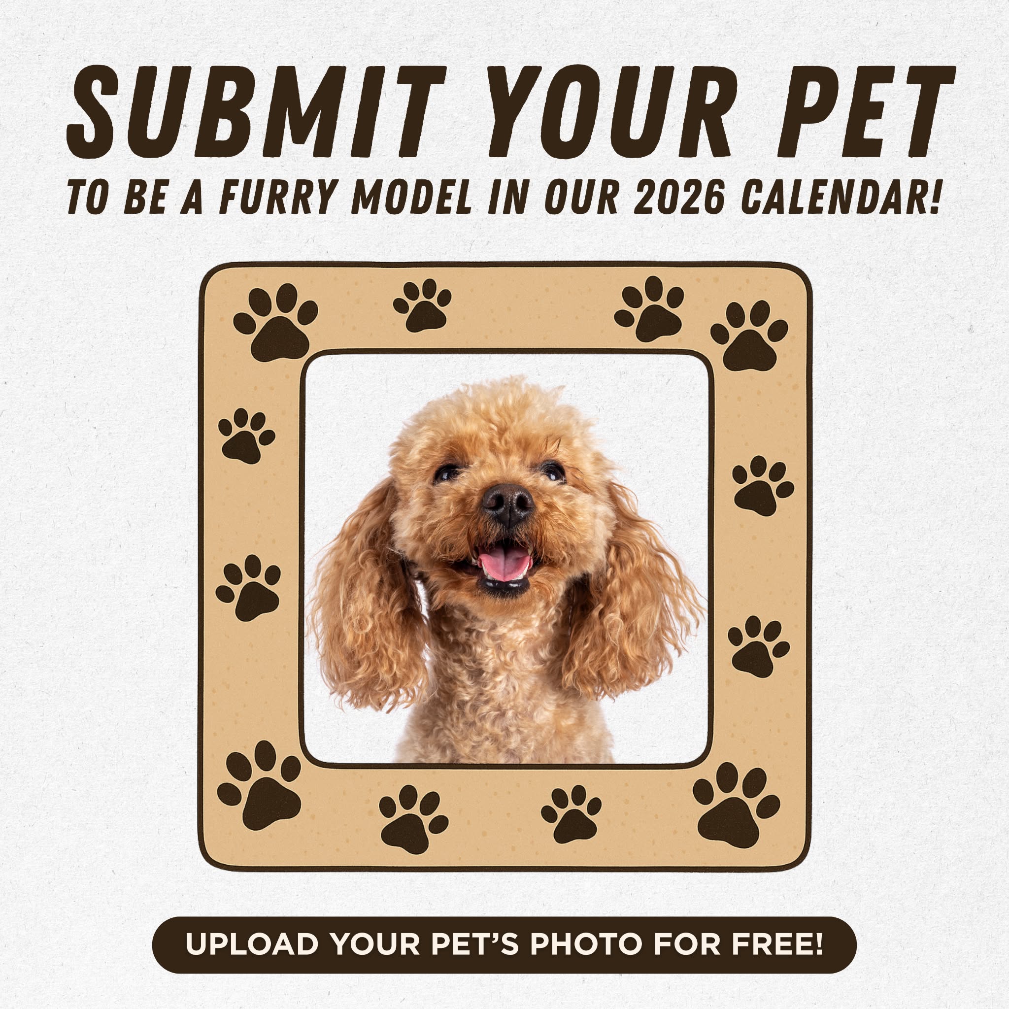 Pawidols Facebook ad: Your Pet Could Be a 2026 Calendar Star!