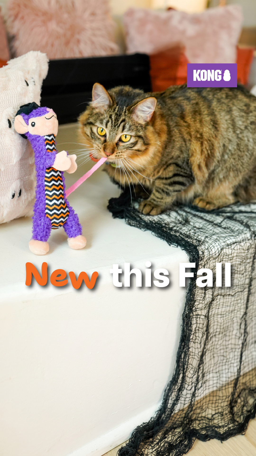 KONG Facebook ad: A Toy Worth Nine Lives